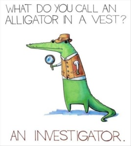 Investigator pic